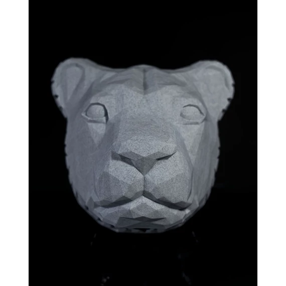 Oroszlán Fali lámpa